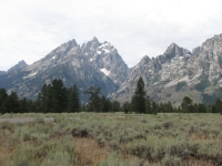 Tetons